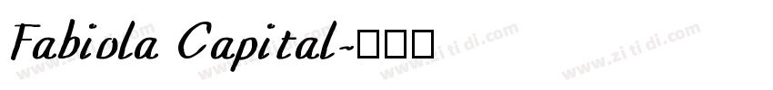 Fabiola Capital字体转换